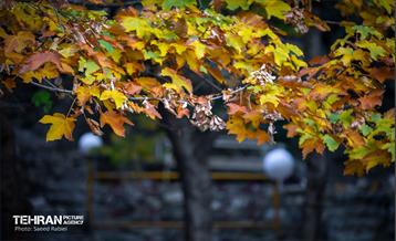 سمفونی رنگ های پاییزی - دربند 9