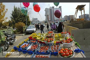 پنجمین جشنواره خرمالوی کن 1