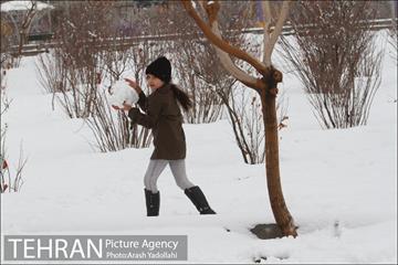 بارش برف در تهران 24