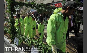 احیای درختان خیابان  ولیعصر( عج) با حضور شهردار تهران  19