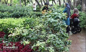 به وقت اردیبهشت؛ باغ ایرانی 7