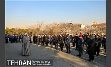 کاشت 2200 اصله نهال در بوستان جنگلی چیتگر 10