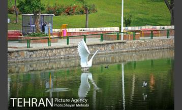 بوستان بعثت 16