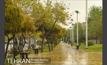 آخرین روز پاییز 10