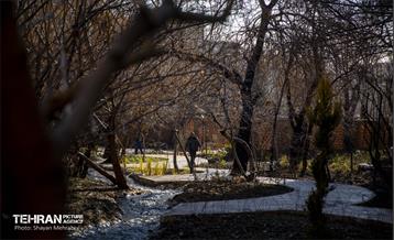 باغ گلاریس 9