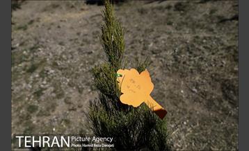 تور عکاسی پروژه های منطقه 5