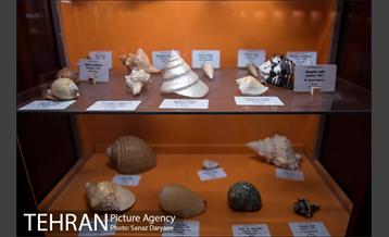 موزه علوم زمین‎ 3