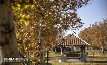 سمفونی رنگ های پاییزی - بوستان رازی 28