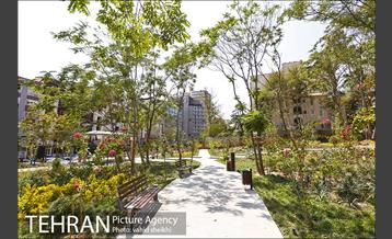 بوستان پدر 9