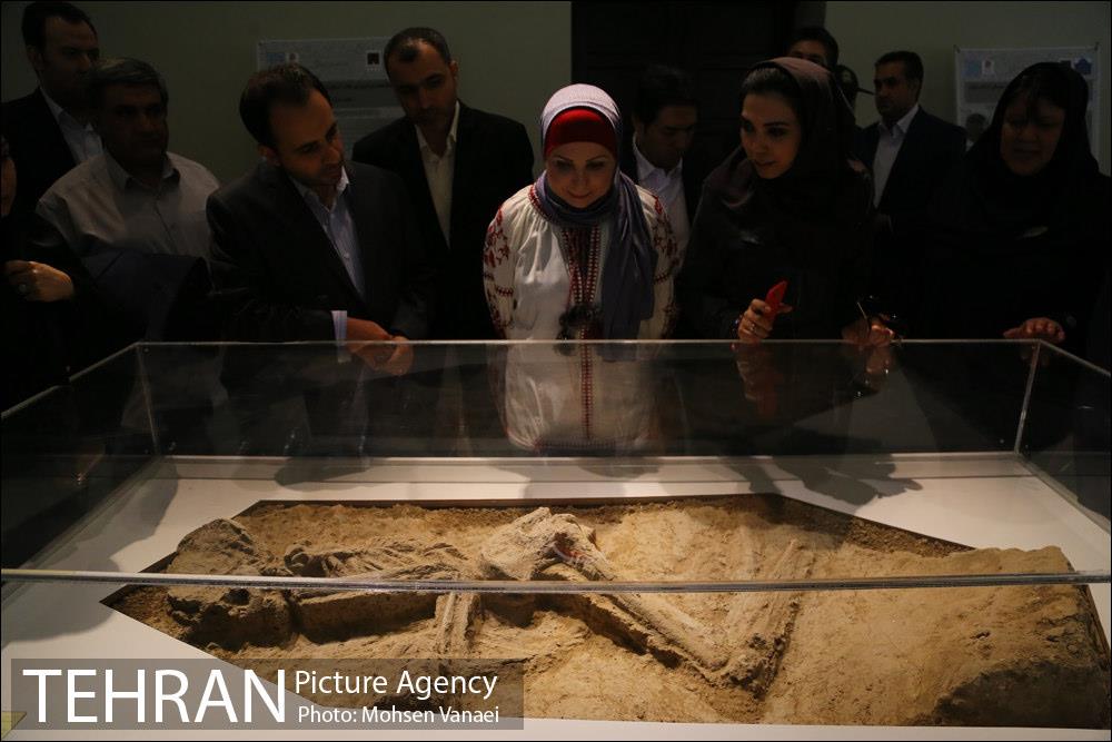 تهرانگردی شهردار بغداد 1