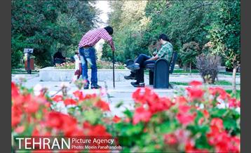 هوای بهاری تهران 5