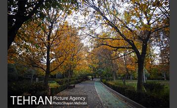 طبیعت پاییزی بوستان لاله 24