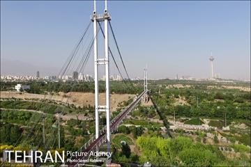 پل معلق بوستان نهج البلاغه 13