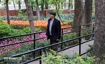 تور عکاسی از باغ ایرانی 7