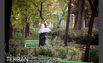 بارش باران پاییزی در تهران- 2