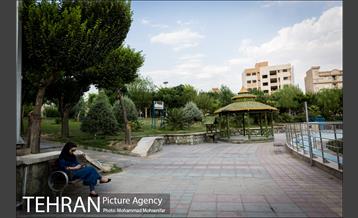 شهرنگار؛ بوستان المهدی 10