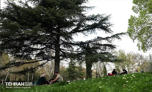 روز طبیعت در بوستان ملت 8