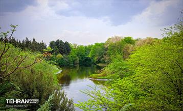 باغ گیاه‌شناسی 26