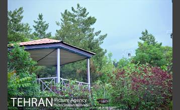 پارک جنگلی لویزان‎ 12