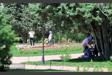 طبیعت بهاری در باغ ملی گیاهشناسی ایران 32