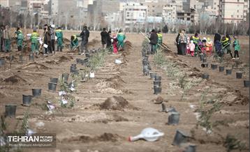 کاشت ۲۴۰۰۰ نهال به یاد شهدای پایتخت 1