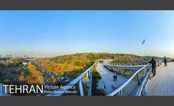 پاییز اراضی عباس آباد 1