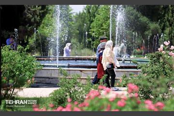 طبیعت بهاری در باغ ملی گیاهشناسی ایران 29