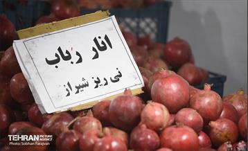 یازدهمین جشنواره صد دانه یاقوت 33