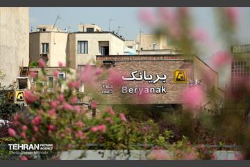 بهره‌برداری از ورودی ویژه توانیابان مترو بریانک 33