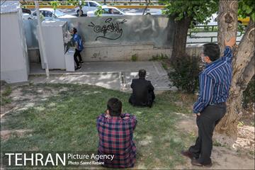 انجام تست رایگان PCR توسط شهرداری تهران 30