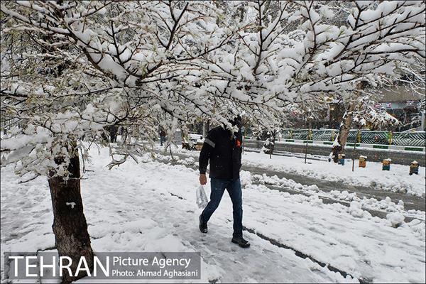 بارش اولین برف پاییزی در تهران 28