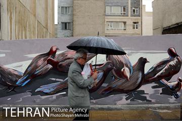 بارش باران بهاری در تهران 9