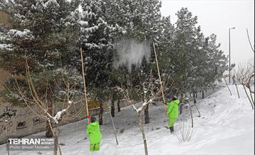 بازدید اصحاب رسانه از خدمات برف‌روبی منطقه 5 شهرداری تهران 21