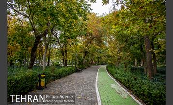 پاییز پارک شهر 8