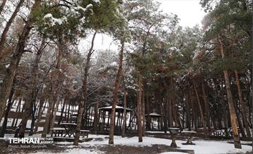 روز برفی در بوستان جنگلی سرخه‌حصار 14