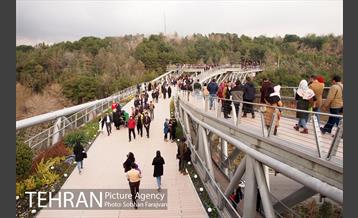 پل طبیعت در نوروز  6