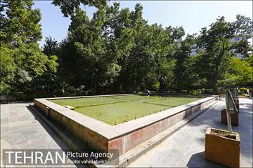 بوستان قیطریه 24