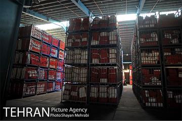 بازدید احمد مسجد جامعی از مراکز مرتبط با زلزله تهران 31