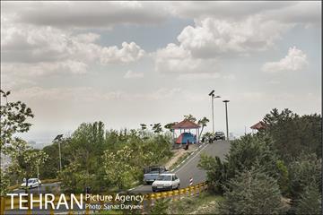 بوستان جنگلی لویزان 22