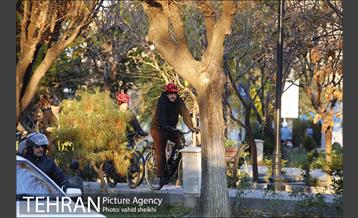 پویش سه شنبه های بدون خودرو 10