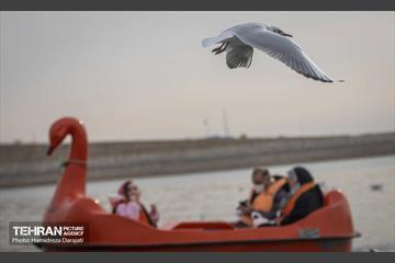 آوای مهاجران  42