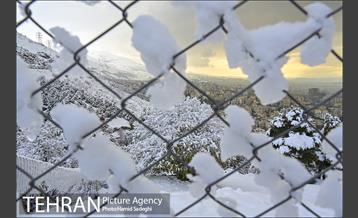 طبیعت برفی شمال تهران 6