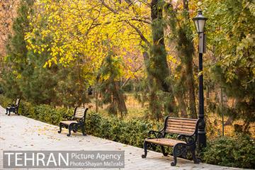 پاییز پارک شهر 14