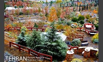 بارش پاییزی برف در ارتفاعات بوستان کوهستانی آبشار تهران‎ 20