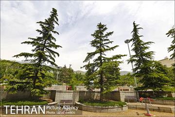 بوستان نیاوران 13