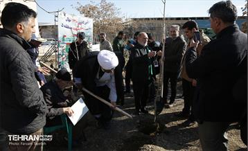 آیین کاشت 1310 نهال در منطقه 5 12