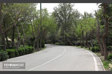 بوستان بانوان نرگس 18