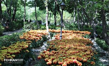 بازدید اصحاب رسانه از باغ ایرانی 3