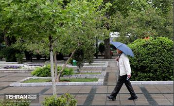 بارش باران بهاری در تهران - 2 48