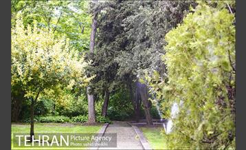 بوستان نیاوران 4